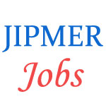 Teaching Jobs in JIPMER