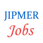 Various Professor jobs in Jawaharlal Institute of Postgraduate Medical Education & Research (JIPMER)