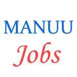 Teaching and other Jobs in MANUU