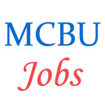 Various Jobs in Maharaja Chhatrasal Bundelkhand University (MCBU)