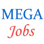 Metro - Link Express for Gandhinagar and Ahmedabad Company Limited (MEGA) Jobs