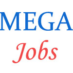 Contract Jobs in MEGA Metro