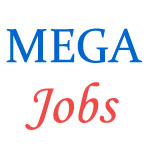 Middle Management Jobs in MEGA