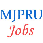 Teaching Jobs in MJP Rohilkhand University (MJPRU)