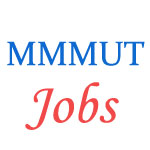 Teaching Jobs in MMMUT