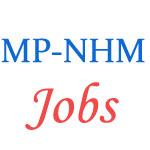 MP NHM Hospital Administrator Jobs