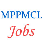 MP Power Management Company Ltd. (MPPMCL) Jobs