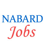 Officer (Assistant Manager) Jobs in NABARD