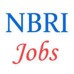 National Botanical Research Institute (NBRI) Jobs