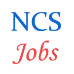 National Seeds Corporation Limited Jobs