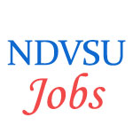 Teaching Jobs in NDVSU