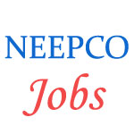 Various jobs in North Eastern Electric Power Corporation Limited (NEEPCO)