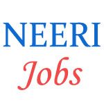 Technical Jobs in NEERI