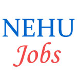 Non-Teaching Jobs in North-Eastern Hill University