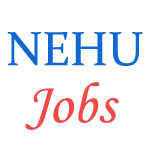 Various Jobs in North-Eastern Hill University (NEHU)