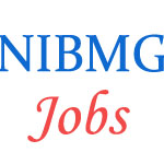 Various Professor Jobs in National Institute of Biomedical Genomics (NIBMG)