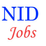 Teaching Jobs in National Institute of Design