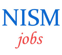 Teaching Jobs in NISM