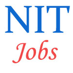 Assistant Professors Jobs in NIT