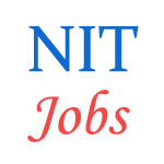 Various professor Jobs in National Institute of Technology