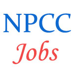 Manager Executives Jobs in NPCC