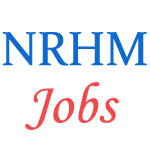 Various Jobs in National Rural Health Mission (NRHM)