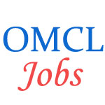 Executives Jobs in OMC Limited