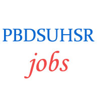 Teacher Assistant Professor Jobs in BDS UHSR