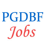 Probationary Officer Jobs by PGDBF in Syndicate Bank