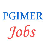 Various Jobs in Post Graduate Institute of Medical Education & Research (PGIMER)