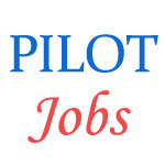 09 post of Pilot in Kandla Port Trust