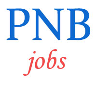 Specialist Officers Jobs in PNB