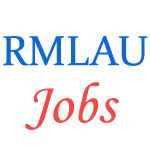 Self-Finance Teaching Jobs in RMLAU