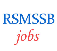 The Rajasthan Subordinate and Ministerial Services Selection Board (RSMSSB)