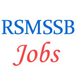 Examination for Clerks Jr. Assistant Jobs by RSMSSB