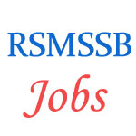 RSMSSB Paramedical Cadre Jobs