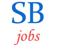 Specialist Officer Jobs in Syndicate Bank