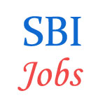 Various Jobs in STATE BANK Of INDIA (SBI)