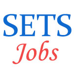 Scientist Jobs in SETS