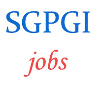 Teaching Jobs in SGPGI Apex Trauma Centre