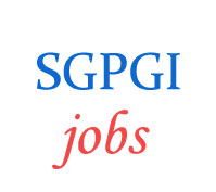 Para-Medical Staff Jobs in SGPGI