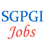 Teaching Jobs in SGPGI