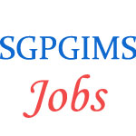 Various Professor Jobs in Sanjay Gandhi Post Graduate Institute of Medical Sciences (SGPGIMS)