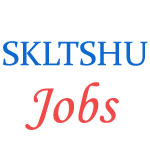 Teaching Jobs in SKLTSHU