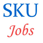 Teaching Jobs in Sri Krishnadevaraya  University