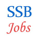 Various Jobs in Directorate General Sashastra Seema Bal (SSB)