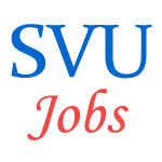 Teaching Jobs in Sri Venkateswara University