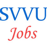 Various Professor Jobs in Sri Venkateswara Vedic University (SVVU)