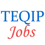 Assistant Professor Jobs in TEQIP