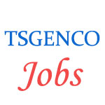 856 posts of Assistant   Engineers in Telangana State Power Generation Corporation Limited (TSGENCO)